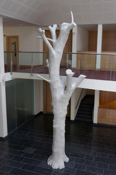 The Witness Tree image