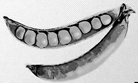 The non metropolitan as a site of resistance thumbnail